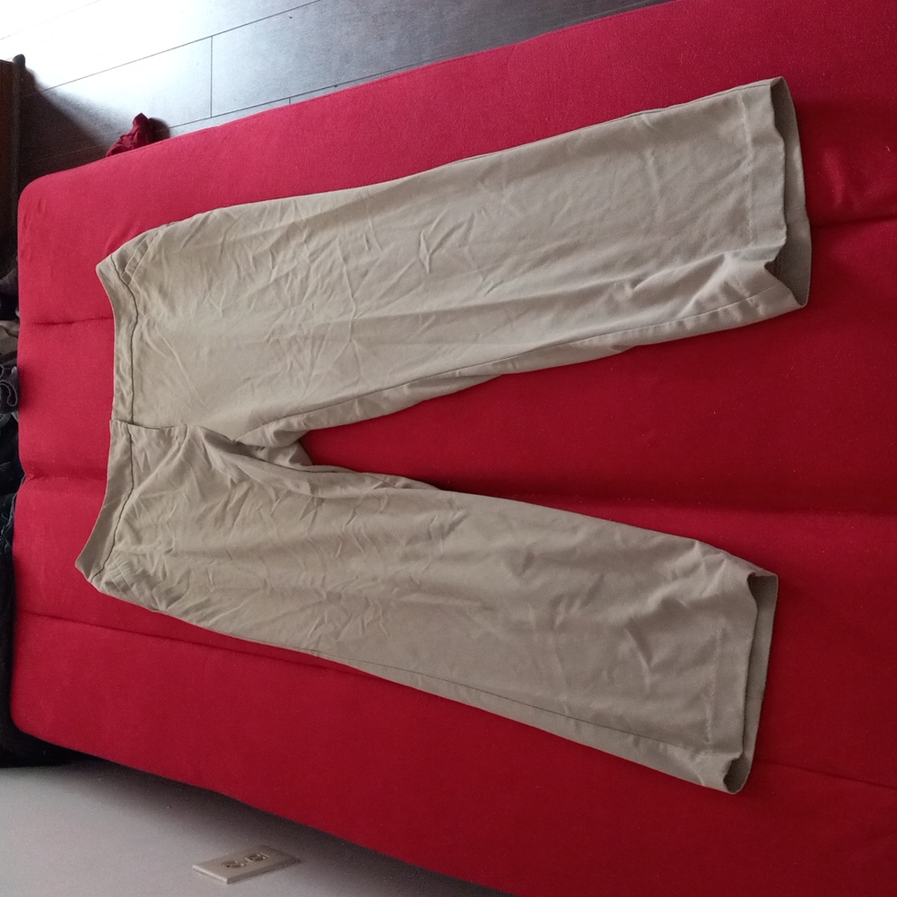 Ashley Stewart size 20WT tan colored dress pants